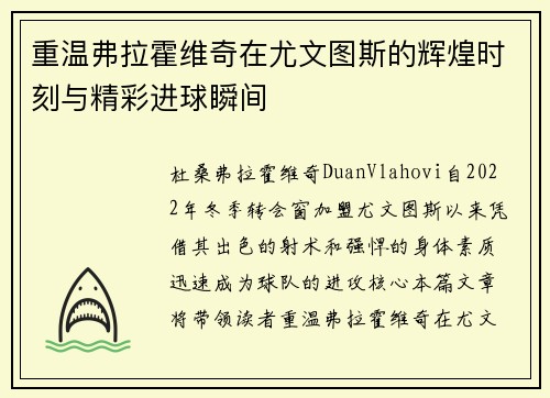 重温弗拉霍维奇在尤文图斯的辉煌时刻与精彩进球瞬间