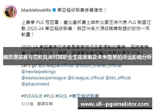 魏震遭禁赛与罚款风波对其职业生涯发展及未来前景的深远影响分析
